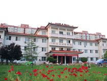 河南风湿病医院