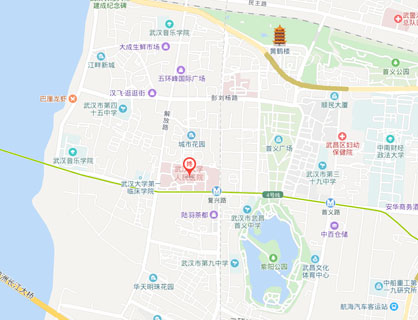 湖北省人民医院