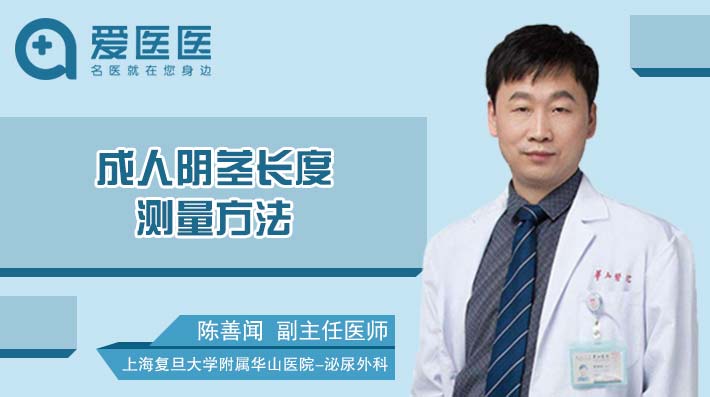 成人阴茎长度测量方法
