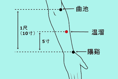 曲池的位置图解