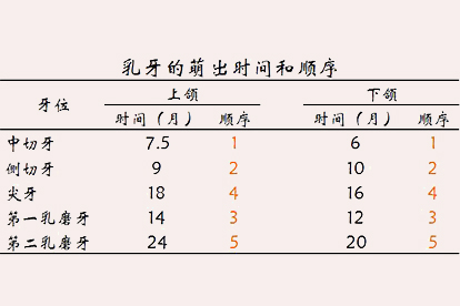 儿童换牙顺序图片