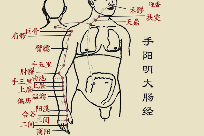 十二经脉