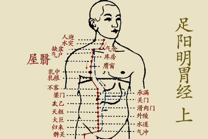 十二经脉