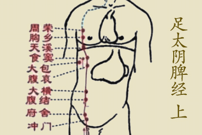 十二经脉