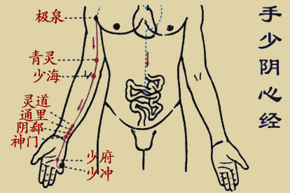 十二经脉