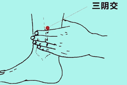 三阴交穴位置