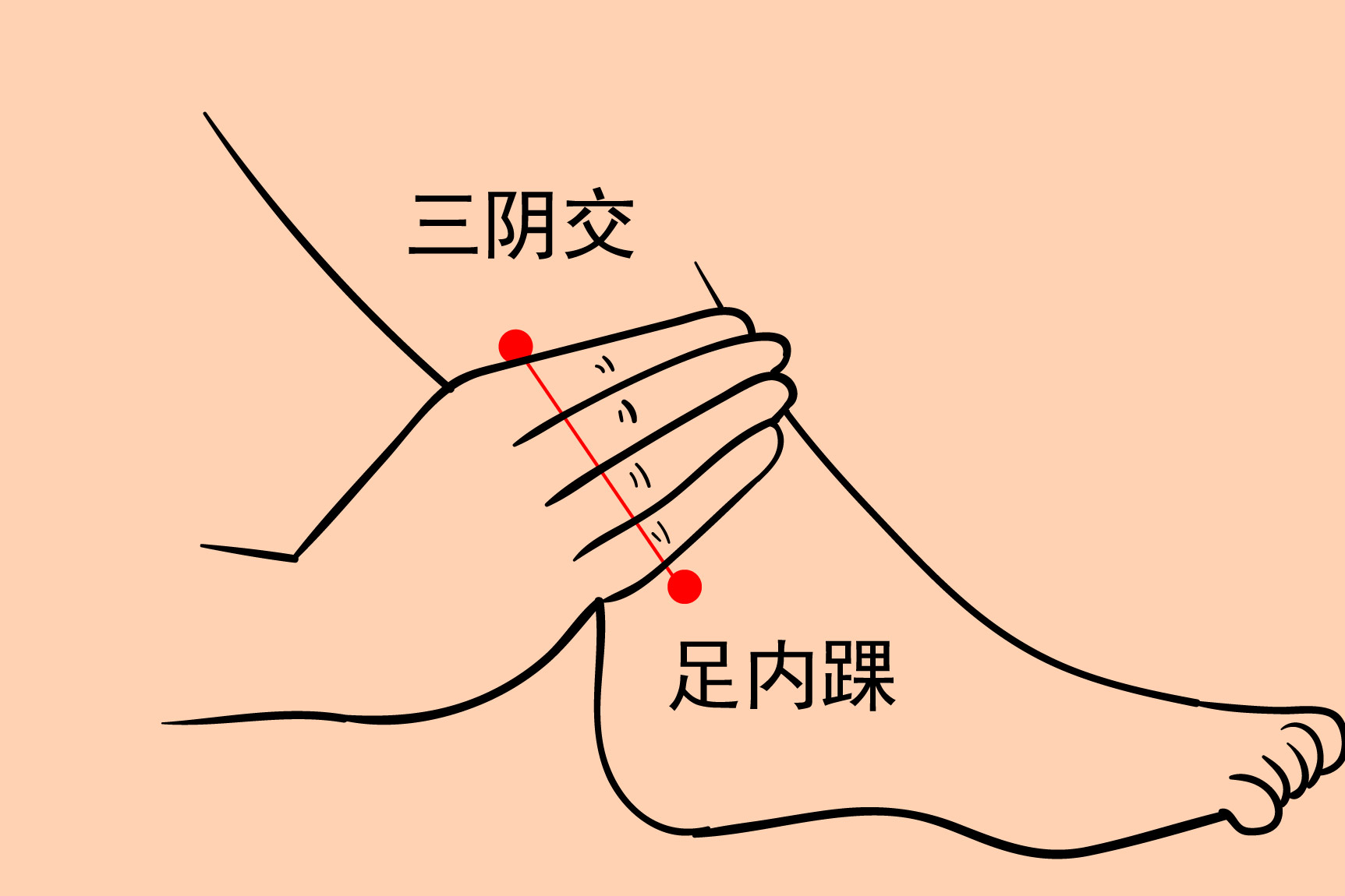 三阴交位置图