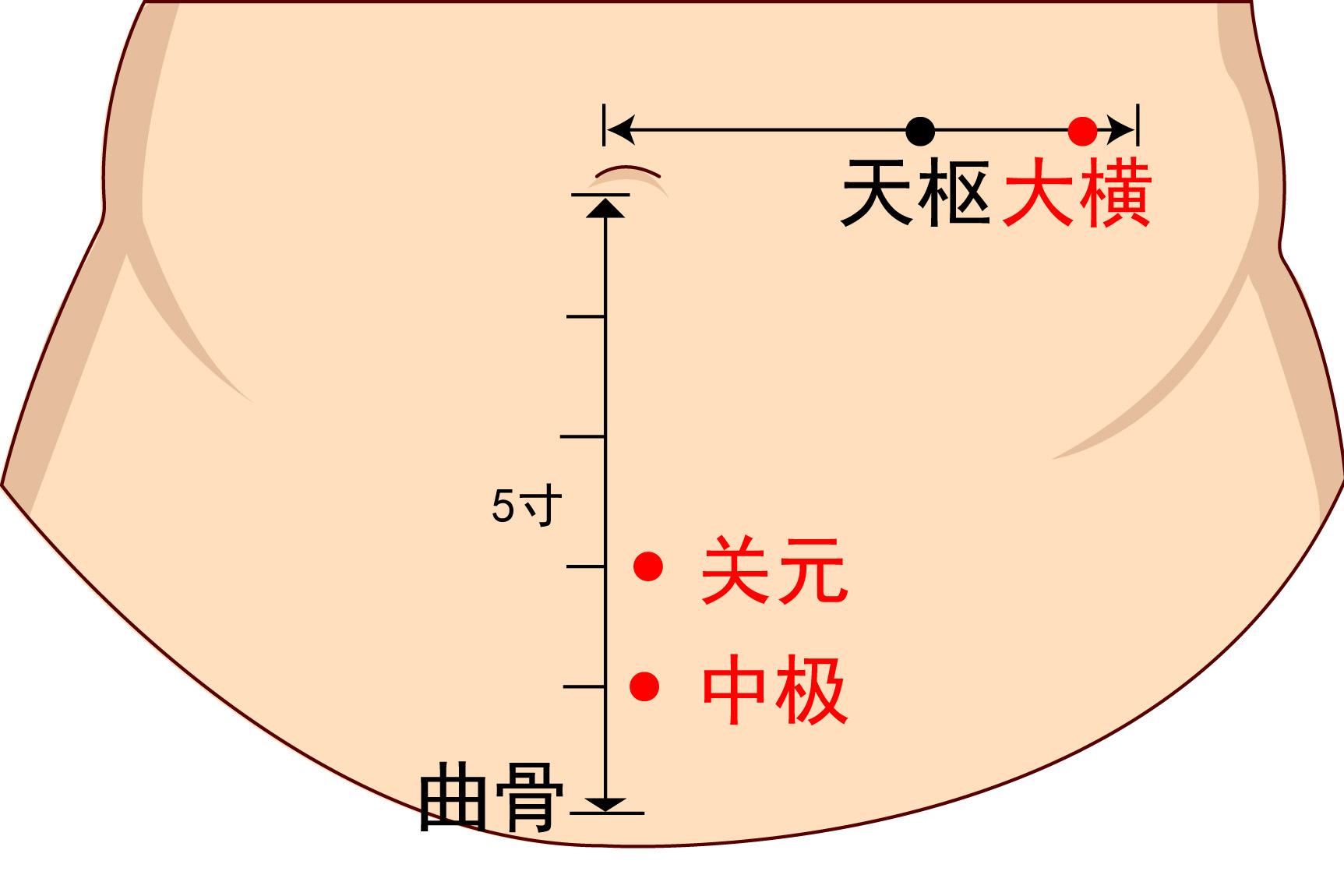 中极穴位置图片