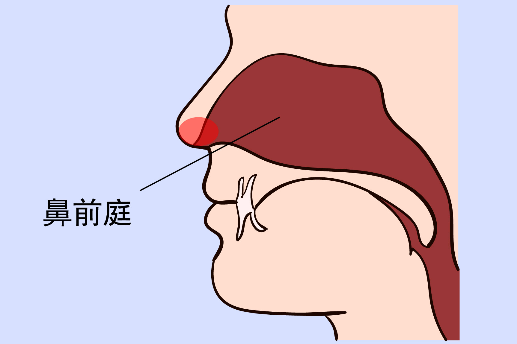 鼻子口红肿图片