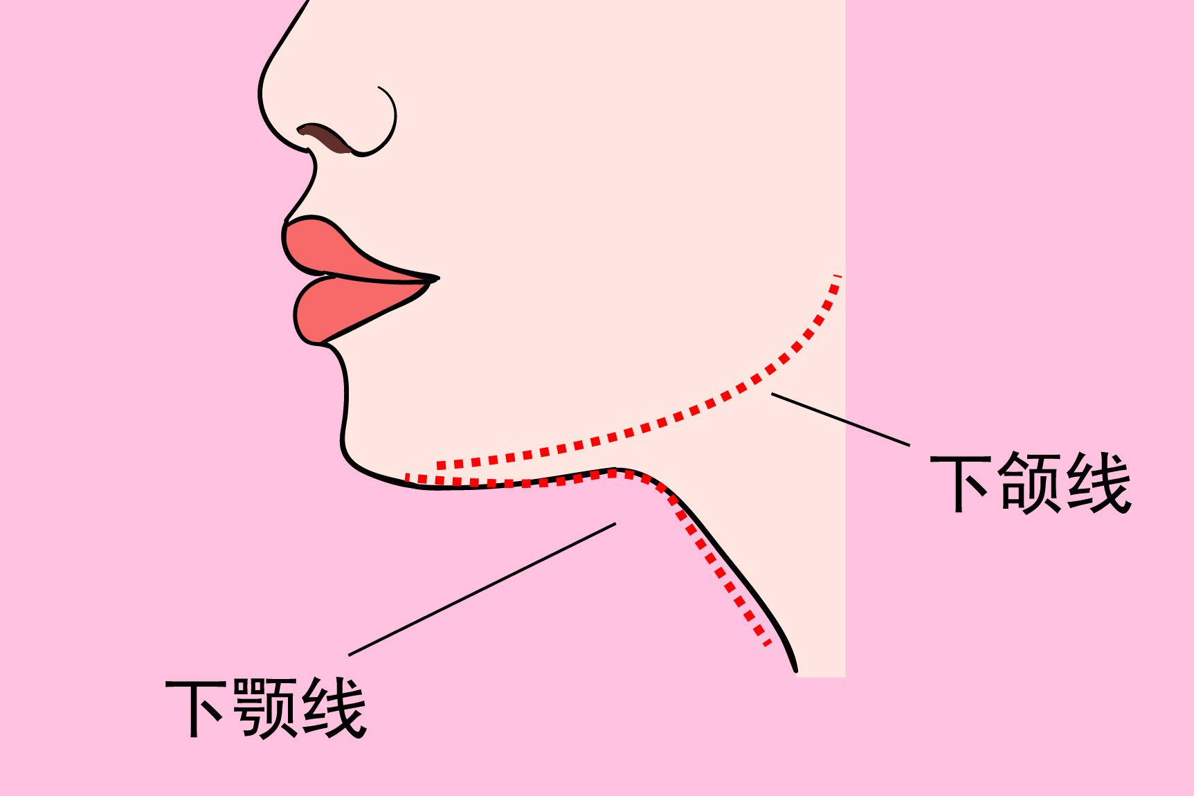 下颌线和下颚线图