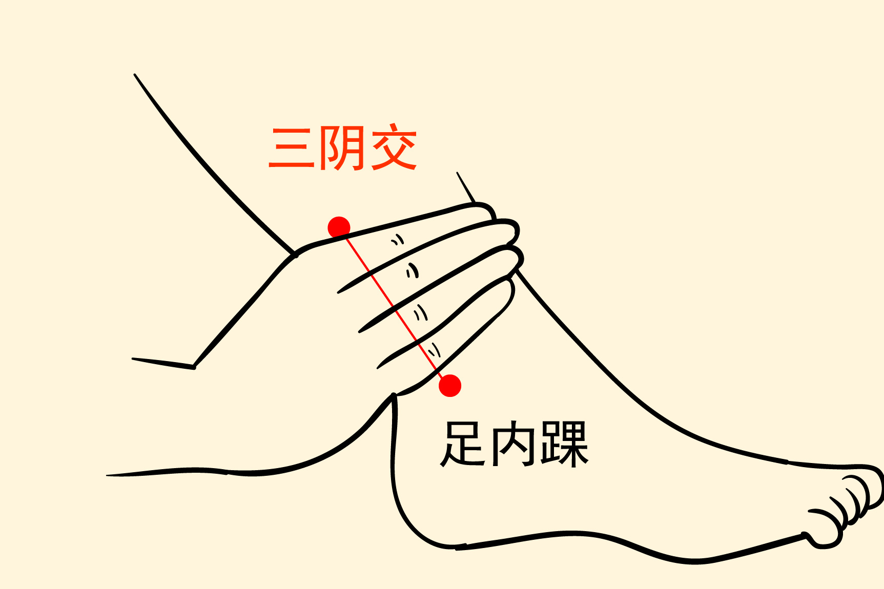 三阴交图片