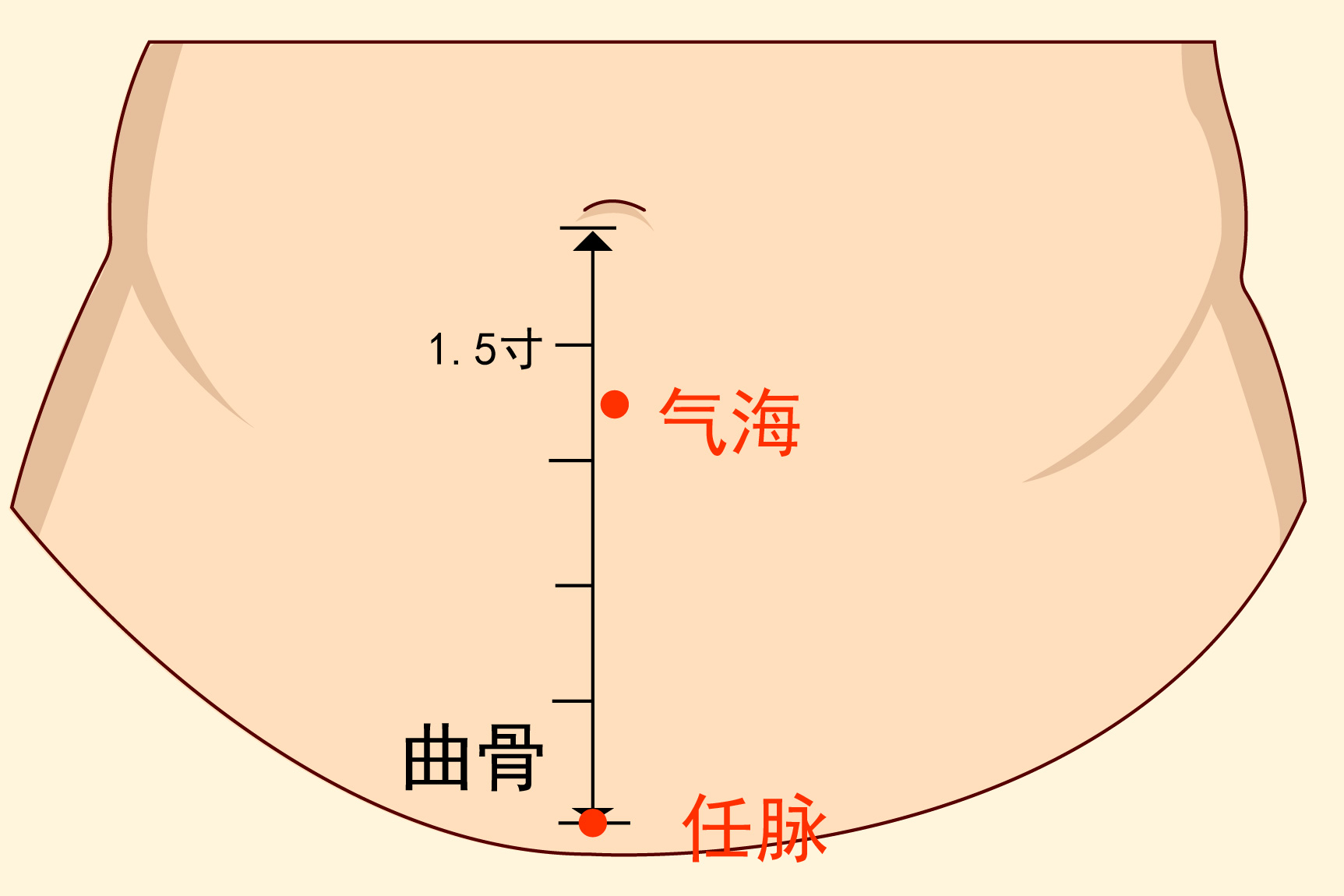 气海穴和任脉穴图