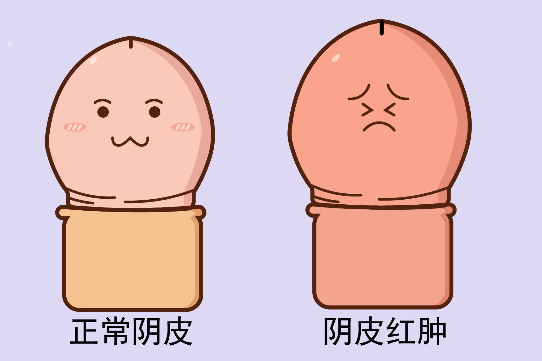 阴皮红肿图片