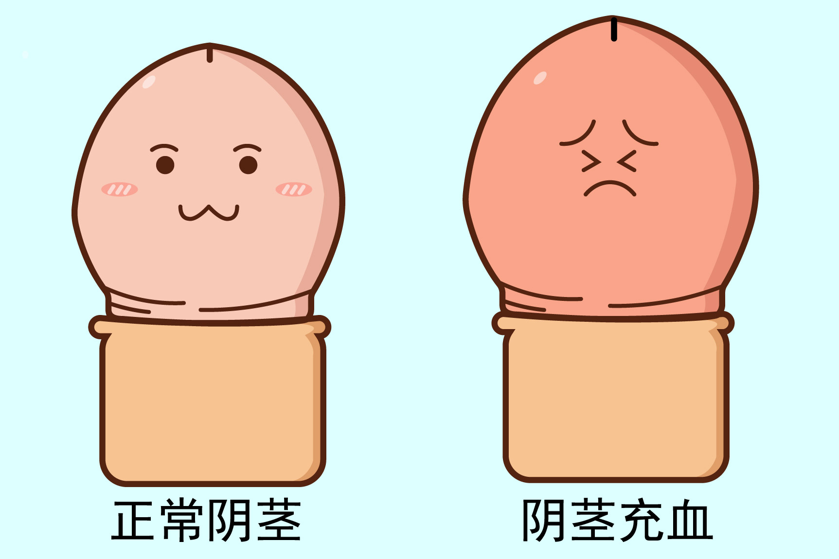 阴茎充血图片