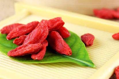 枸杞子图片