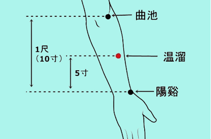 曲池的准确位置图