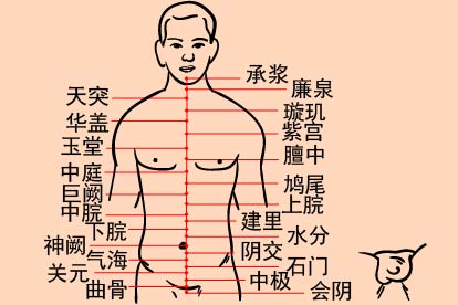 任脉的准确位置图