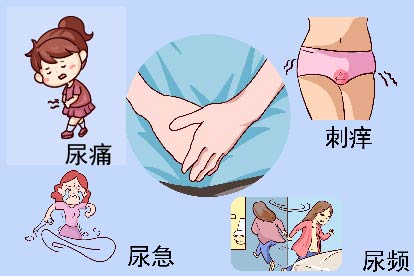 尿道炎症状图片