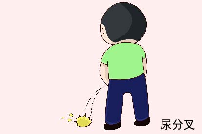 尿分叉图片