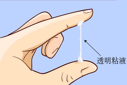 怀孕流出透明粘液图