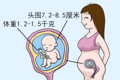 怀孕30周胎儿图片