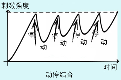早泄行为训练法图