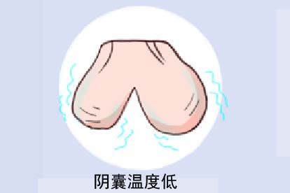 阴囊温度低图