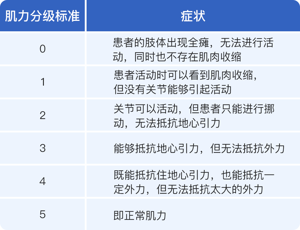 肌力分级5级-爱医医
