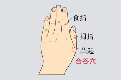 鼻塞发热按摩合谷穴位置图片