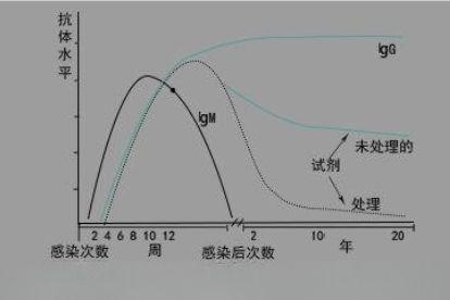 梅毒抗体波形图解