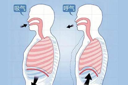 腹式呼吸图片