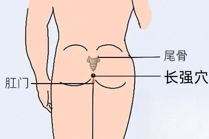 长强穴图