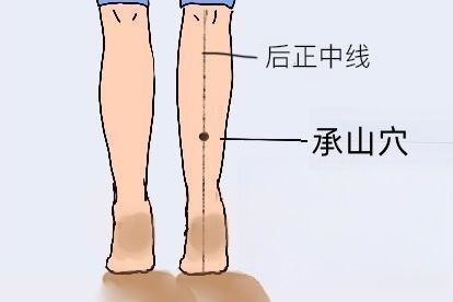 承山穴图