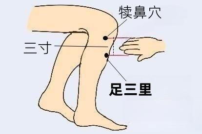 足三里图