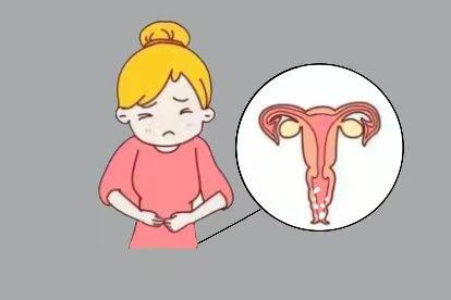 假丝酵母菌内源性感染图