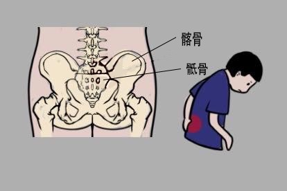 骶髂关节位置图片