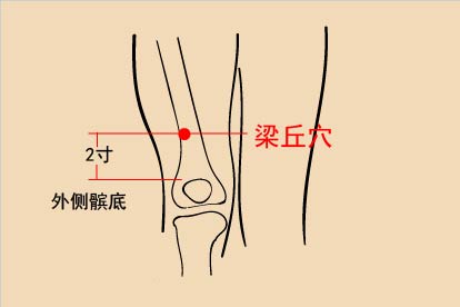 梁丘穴位置图