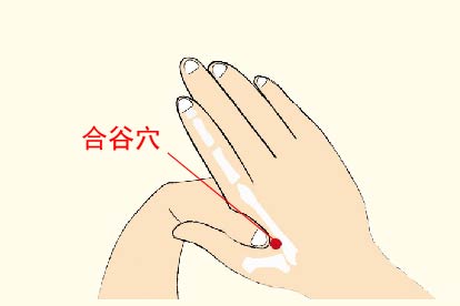 合谷穴位置图片