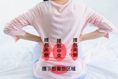 女人腰痛区域对照图