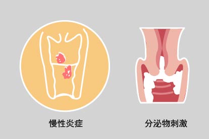 女性假疣和真疣的早期区别图