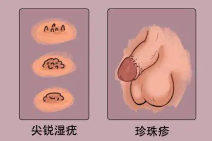 外观不同图片