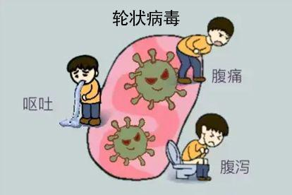 肚子里的轮状病毒图片