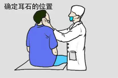 耳石复位确定耳石位置图