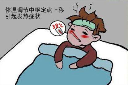 女性梅毒发热初期图