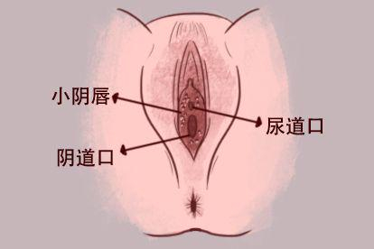 毛囊炎图片