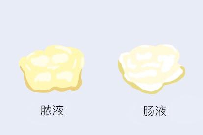外观图片