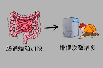 排便次数增多图片