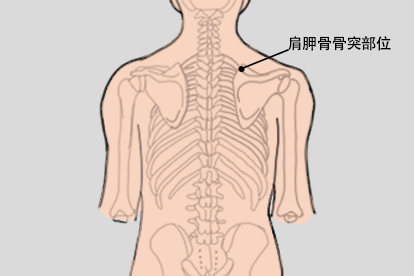 肩胛骨骨突部位图