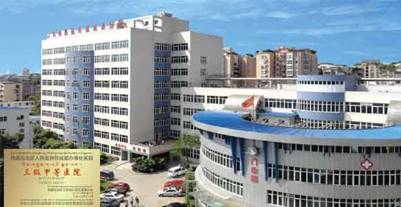 四川大学华西医院（西藏成办分院）