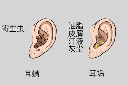 来源不同图